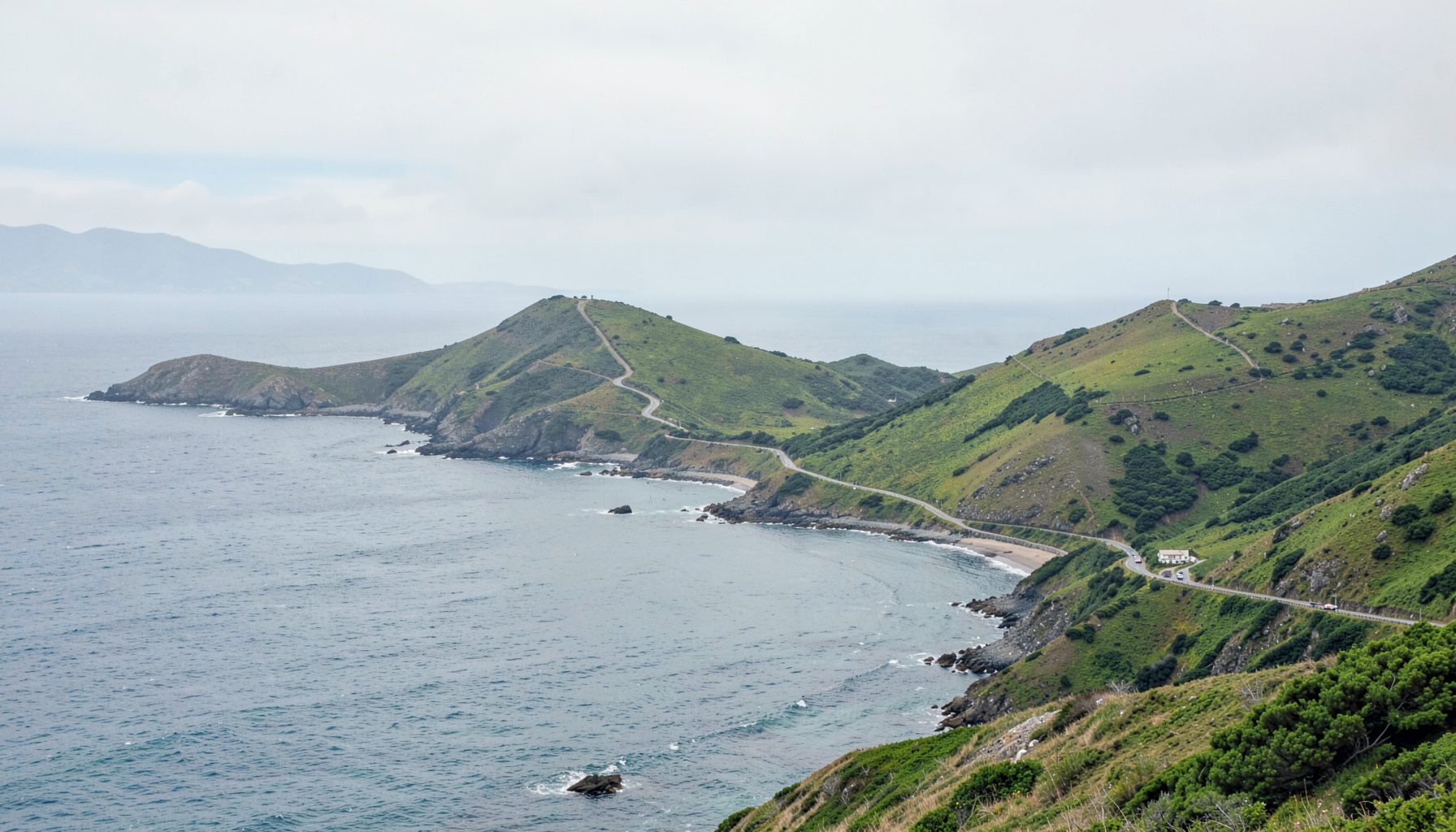 A sweeping coastal landscape with green hills rolling down to the Atlantic, soft grey-blue water under a pale overcast sky, and a winding road tracing the shoreline