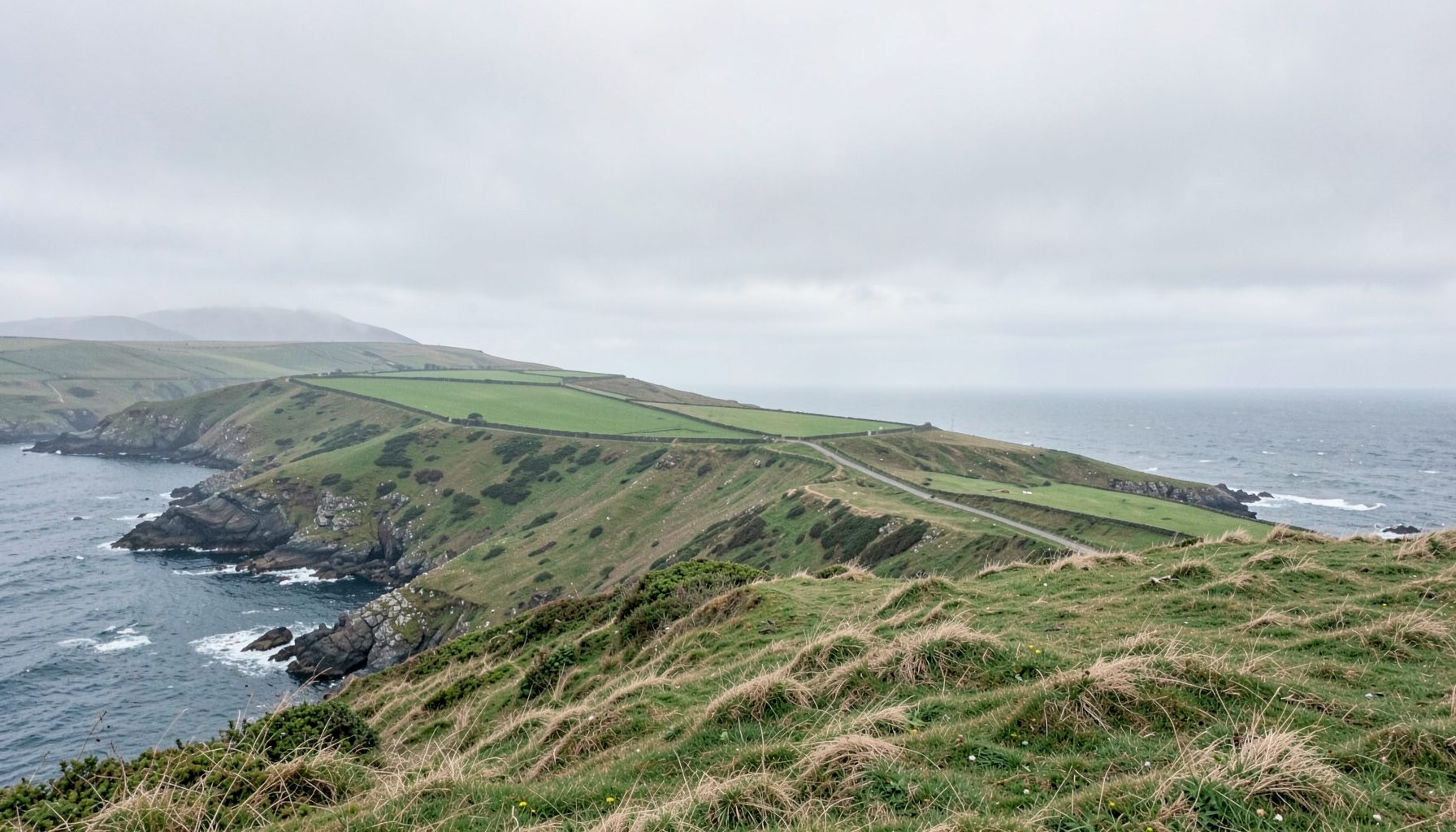 A windswept Irish coastal headland under soft grey skies, with green fields sloping down to the Atlantic Ocean, captured in muted greens, slate greys, and pale sandy tones.