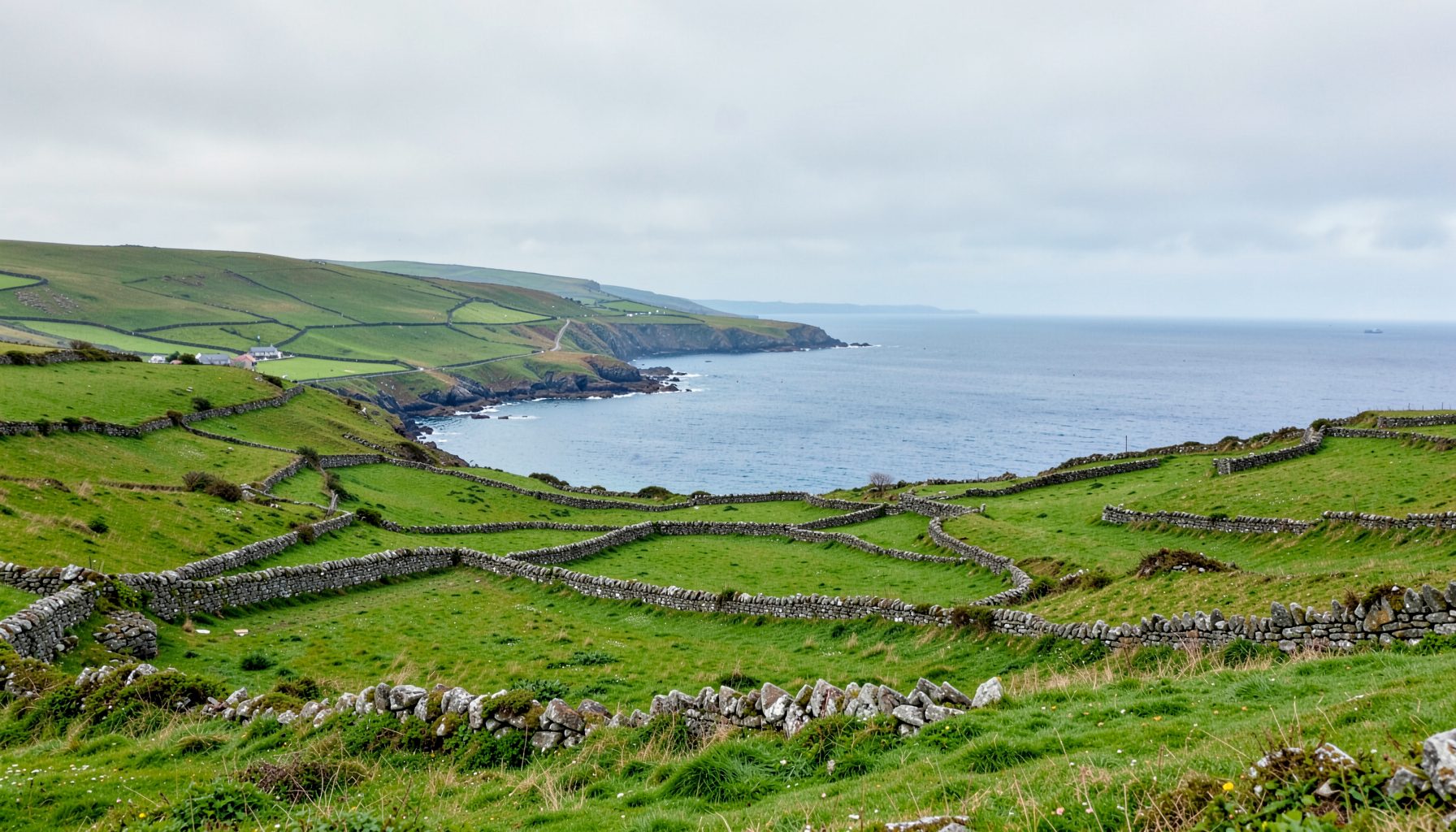A sweeping view of a green Irish coastal landscape with stone-walled fields rolling down toward a calm blue bay, under a soft grey sky